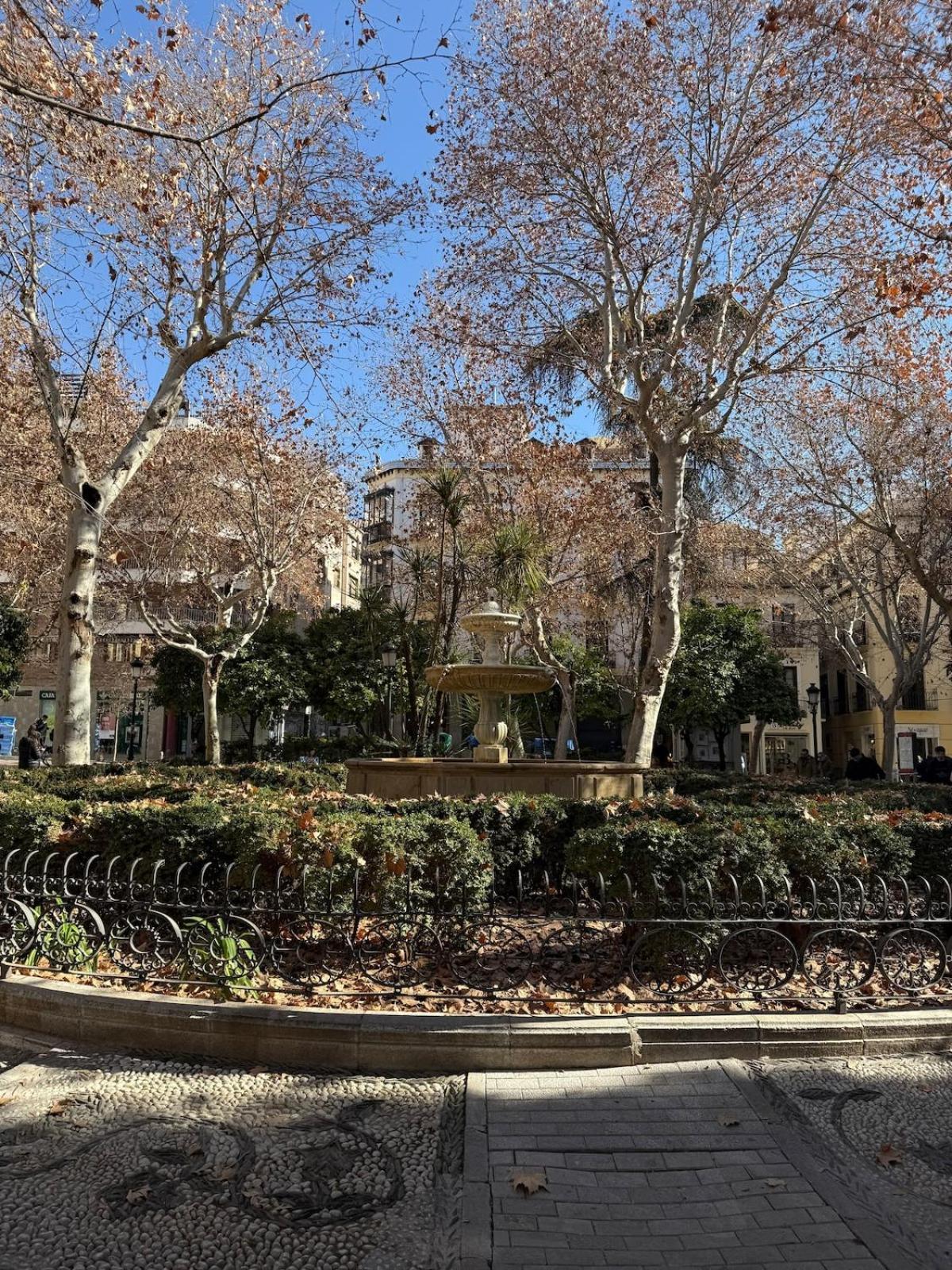 Casa 1919 Near Cathedral Atico With Private Terrace * Granada